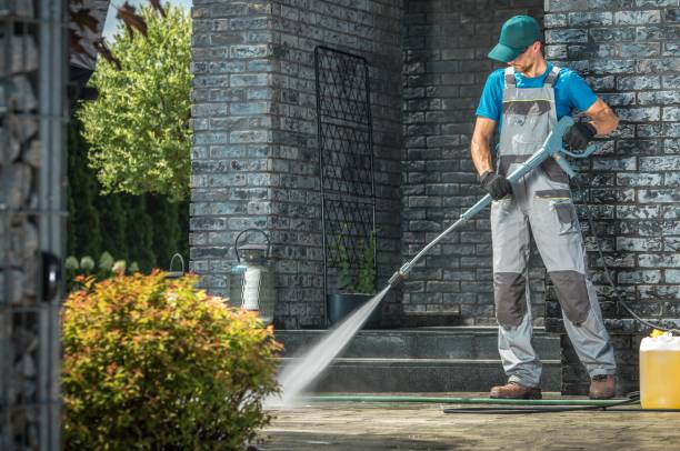 Best Animal Enclosure Cleaning  in Beale Af, CA